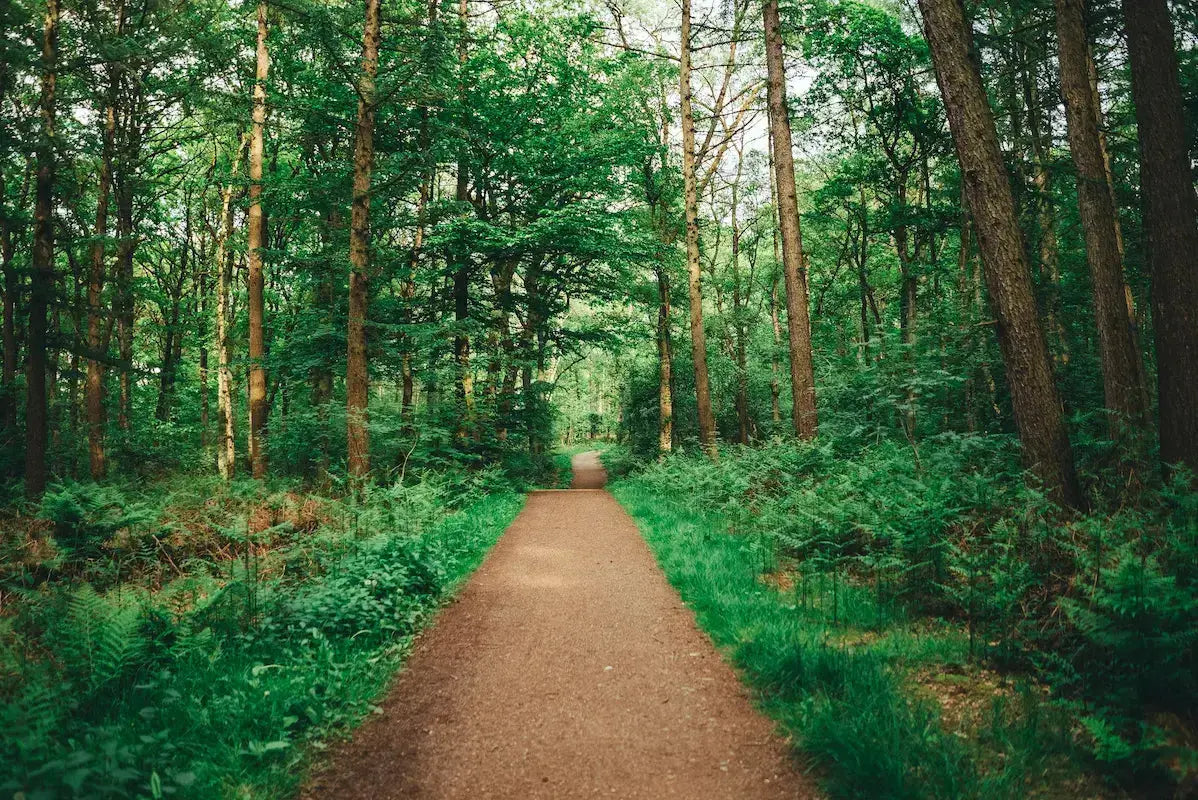 10 Astuces pour Lacher Prise et Renforcer ton Bien etre