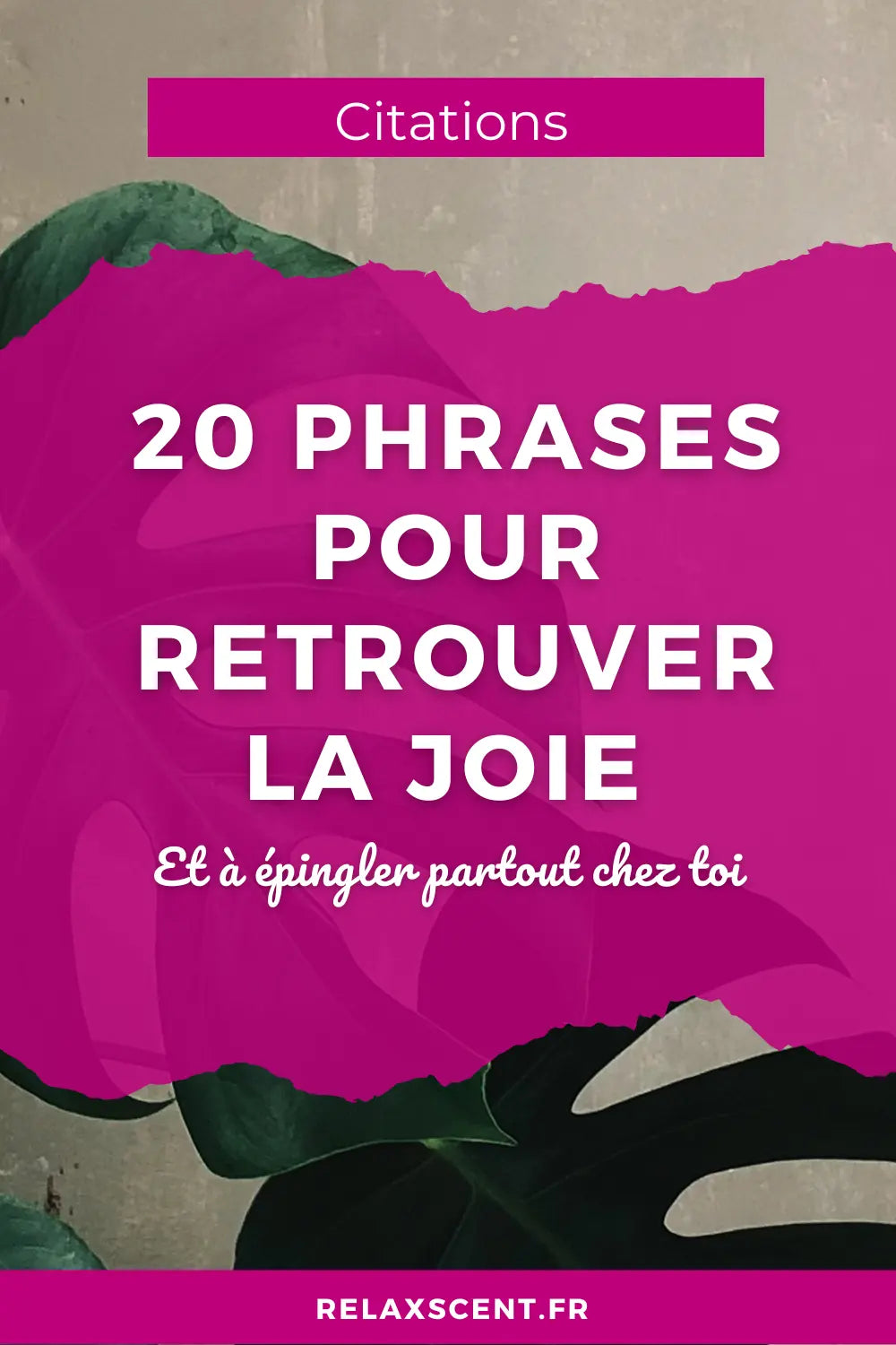 Citation sur le bonheur : 20 phrases Inspirantes pour cultiver la joie