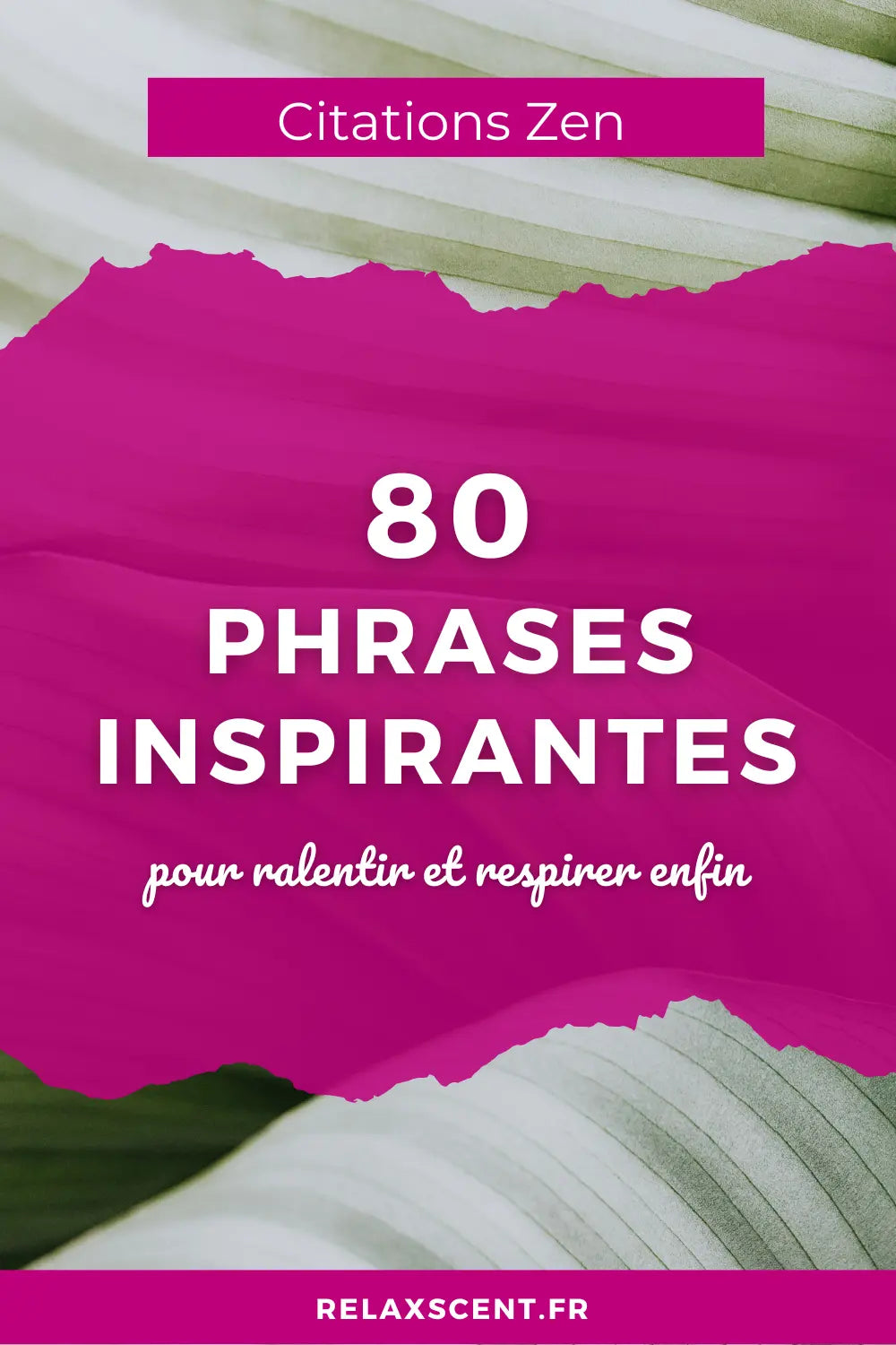 80 citations zen pour cultiver la sérénité au quotidien