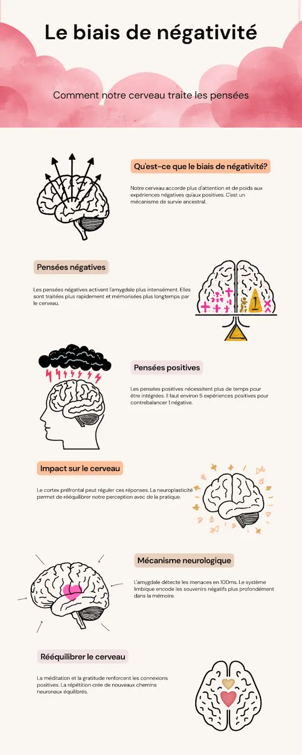 infographie cortisol versus sérotonine pensées négatives positives système nerveux